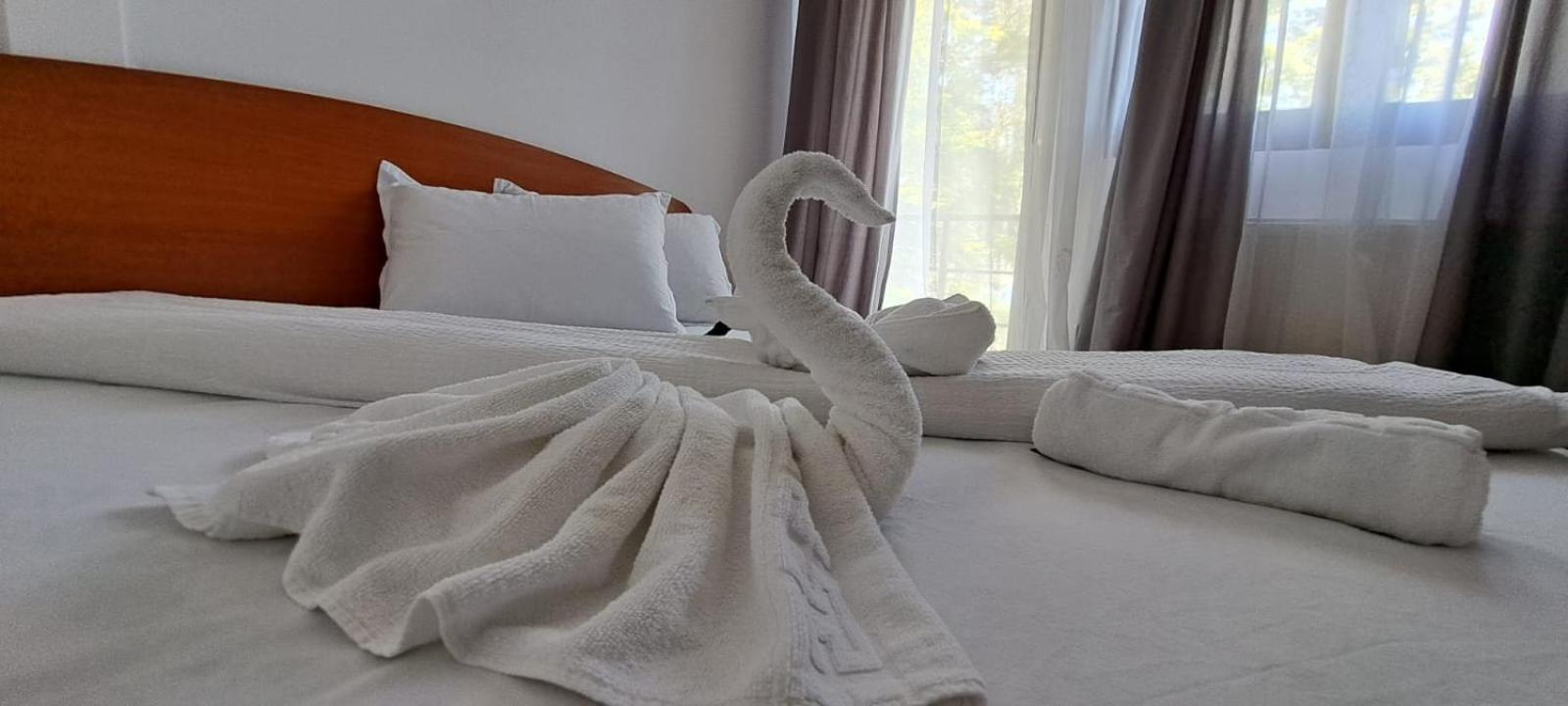 Hotel Pescarus Port ビカズ エクステリア 写真