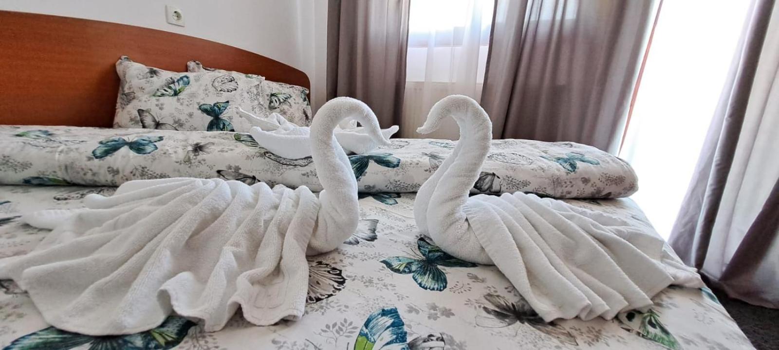 Hotel Pescarus Port ビカズ エクステリア 写真